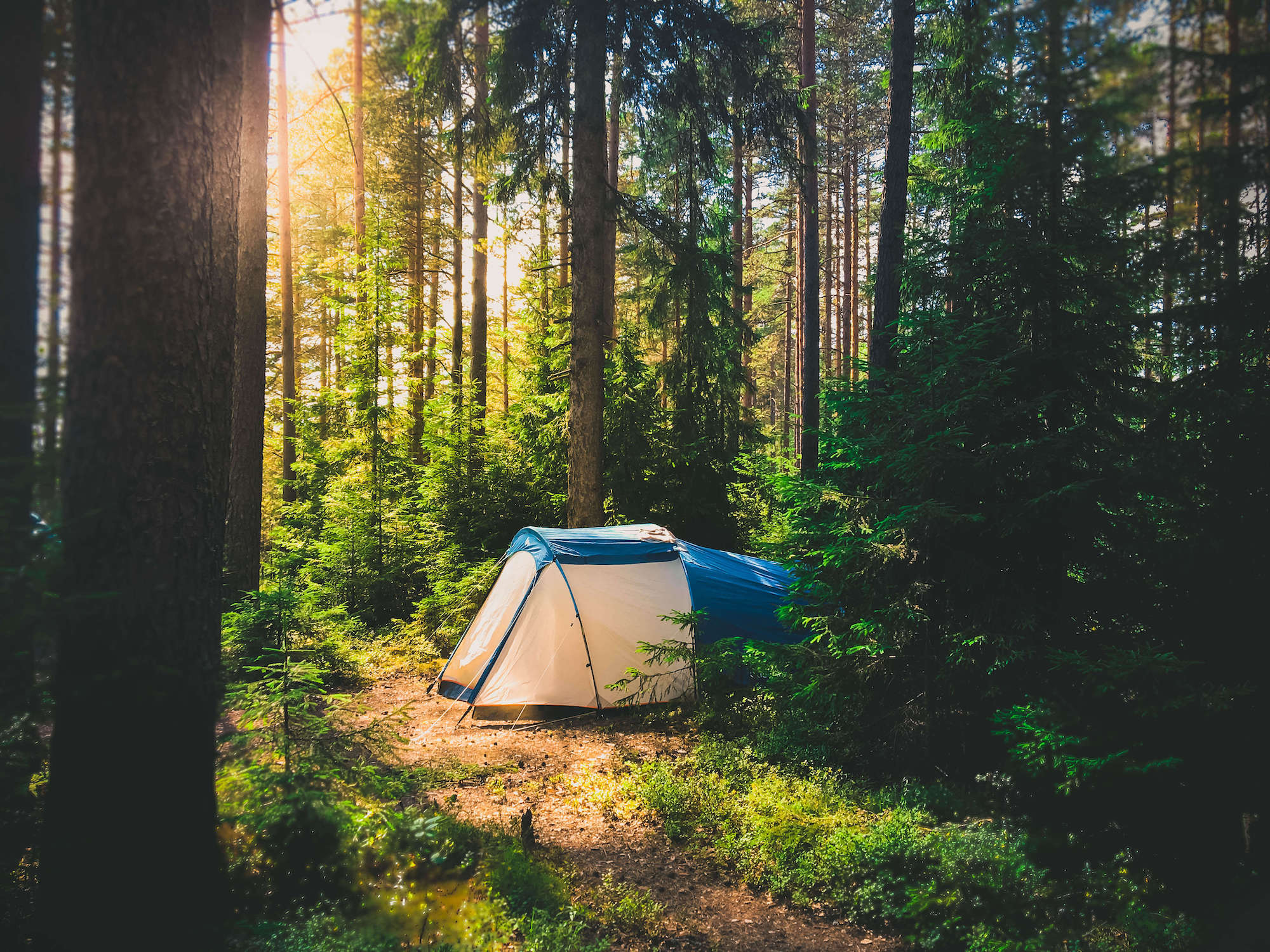 Le Mag Camping - La tente Decathlon : toutes les nouveautés 2024 indispensables à vos vacances
