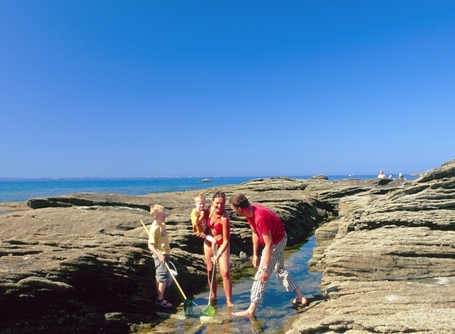Camping Le Bois dAmour 3 étoiles Quiberon Toocamp ~ Camping Du Bois D Amour Quiberon Camping Le Bois dAmour 3 étoiles Quiberon Toocamp ~ Camping Du Bois D Amour Quiberon