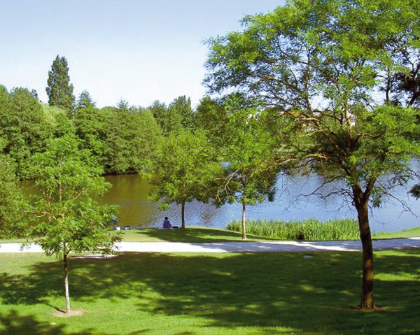 Camping Le Bois Vert 4 étoiles Parthenay Toocamp ~ Camping Bois Vert Camping Le Bois Vert 4 étoiles Parthenay Toocamp ~ Camping Bois Vert