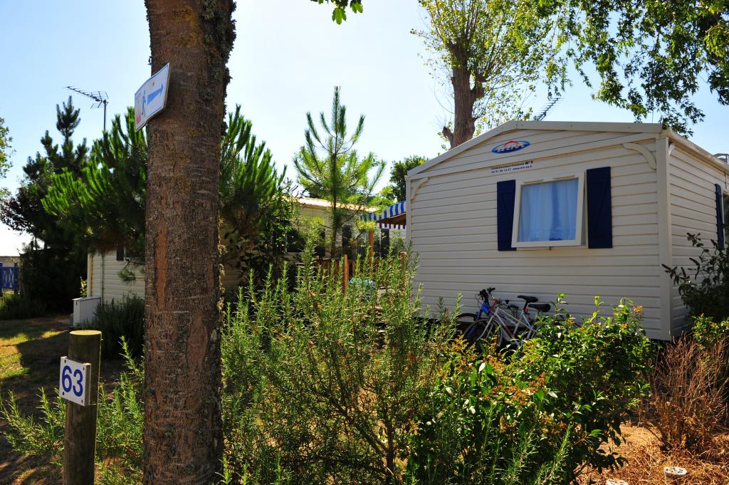 Camping Apv Le Pavillon Bleu 3 Etoiles Vendée
