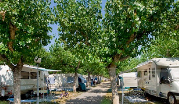Camping Riccione - 2 - campings