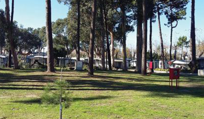 Camping Parque de Campismo Sol de Vila Chã - Vila do Conde