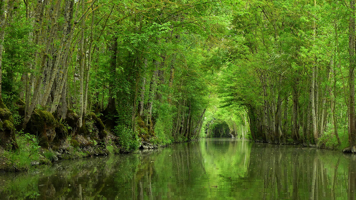 Camping Marais Poitevin Avec Piscine