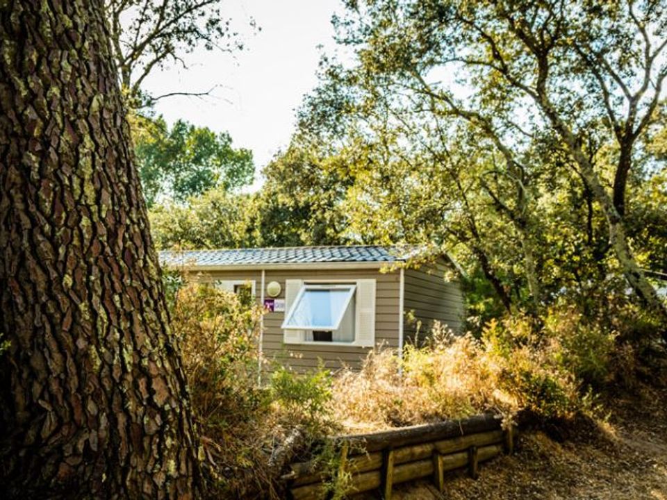 La Sousta - Mobil home - Mobilhome 6 personnes - Cottage Family