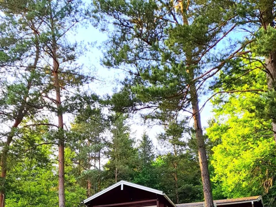 Les Trois Sources - Mobil home - Gîte 9 personnes - Gîte 4 Pièces 7/9 Personnes Climatisé + TV