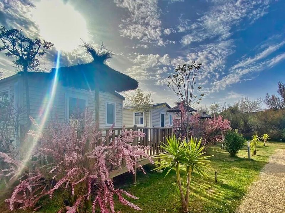 Soleil d'Oc - Mobil home - Mobilhome 4 personnes - Eco 2 Chambres 4 Personnes dimanche