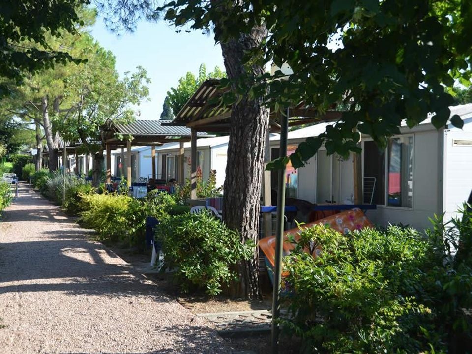 Serenella - Mobil home - Mobilhome 4 personnes - AIRONE