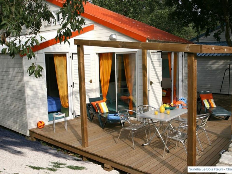 Le Bois Fleuri - Châlet - Chalet 6 personnes - Chalet 4/6 Places 2 Chambres (Clim TV LV)