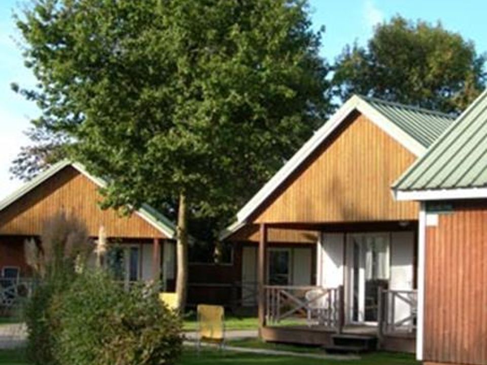 La Forêt - Châlet - Chalet 4 personnes - Chalet Bois 2 chambres