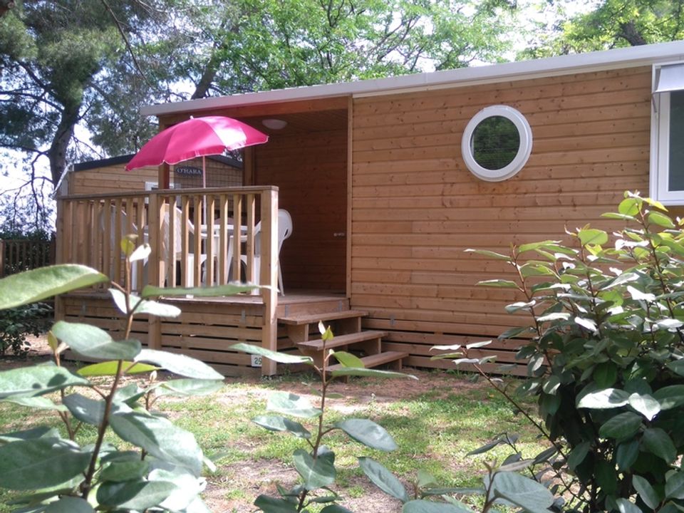 Les Cigales - Mobil home - Mobilhome 5 personnes - Lodge Confort 2 chambres 4/5 P