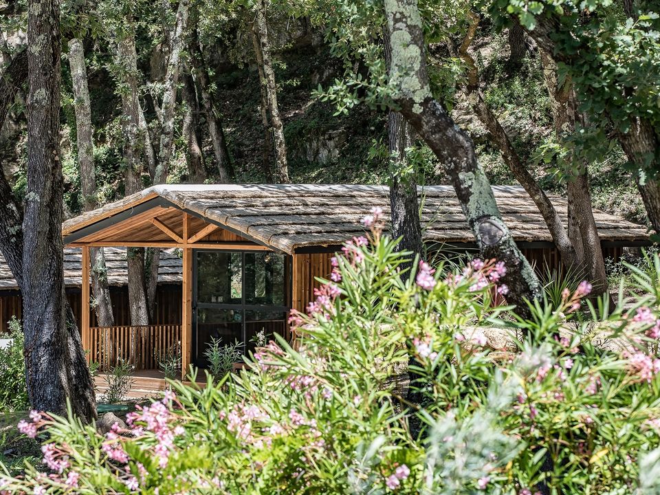 La Vallée Verte - Châlet - Chalet 5 personnes - Cottage Premium 2 chambres Colline