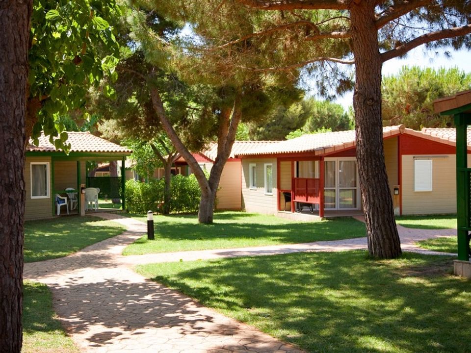 Park Playa Barà - Bungalow - Bungalow 5 personnes - Stel 5