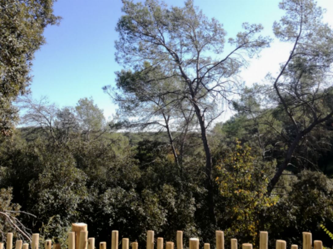 La Pierre Verte - Mobil home - KABANAS MINI