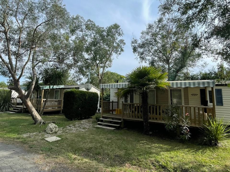 Aqua 3 Masses - Mobil home - Mobilhome 4 personnes - Mimosa