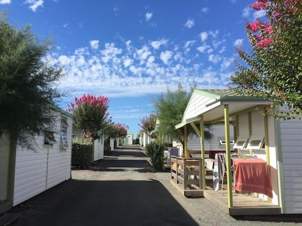 Les Tulipes - Châlet - Chalet 5 personnes - 25m² TradiFive