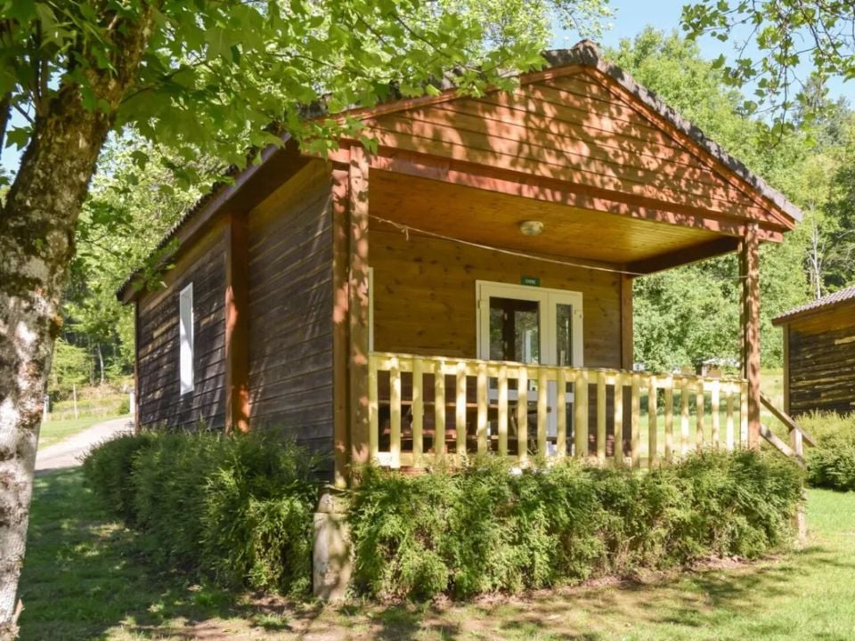 Au Bois de Calais - Châlet - Chalet 4 personnes - Arbre / dimanche-dimanche /