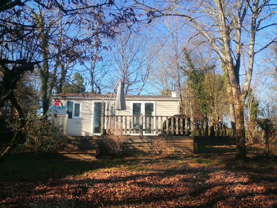 Brin d'Amour - Mobil home - Mobilhome 4 personnes - MOBILE-HOME COCOPAT, TV