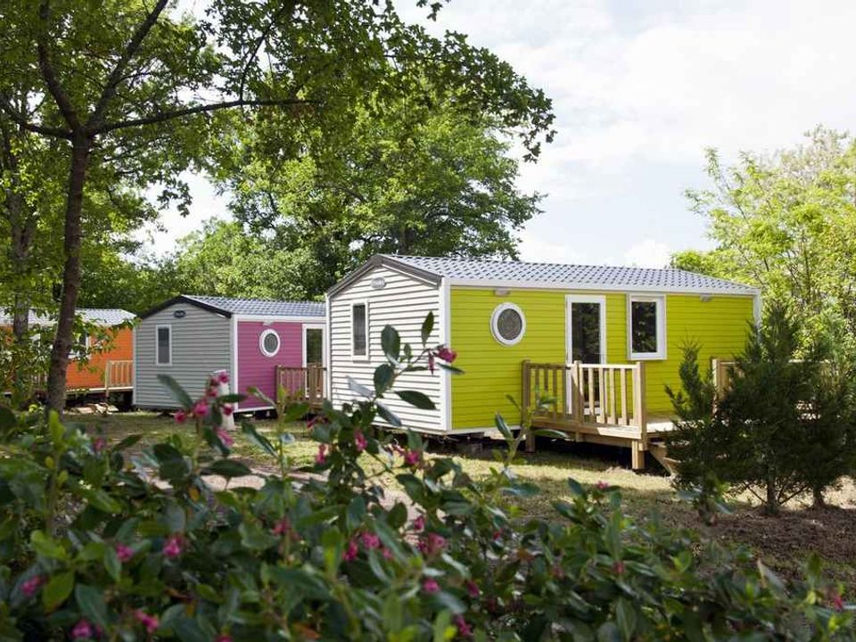 L'Ecureuil - Mobil home - Mobilhome 4 personnes - Confort+ 2 chambres