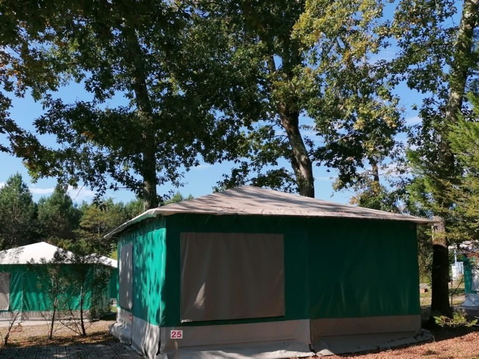 Les Pins du Soleil - Bungalow - Bungalow toilé 4 personnes - Caraïbes (sans sanitaires)