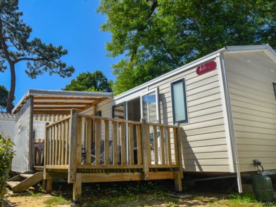 La Pomme de Pin - Mobil home - Mobilhome 6 personnes - Premium MH