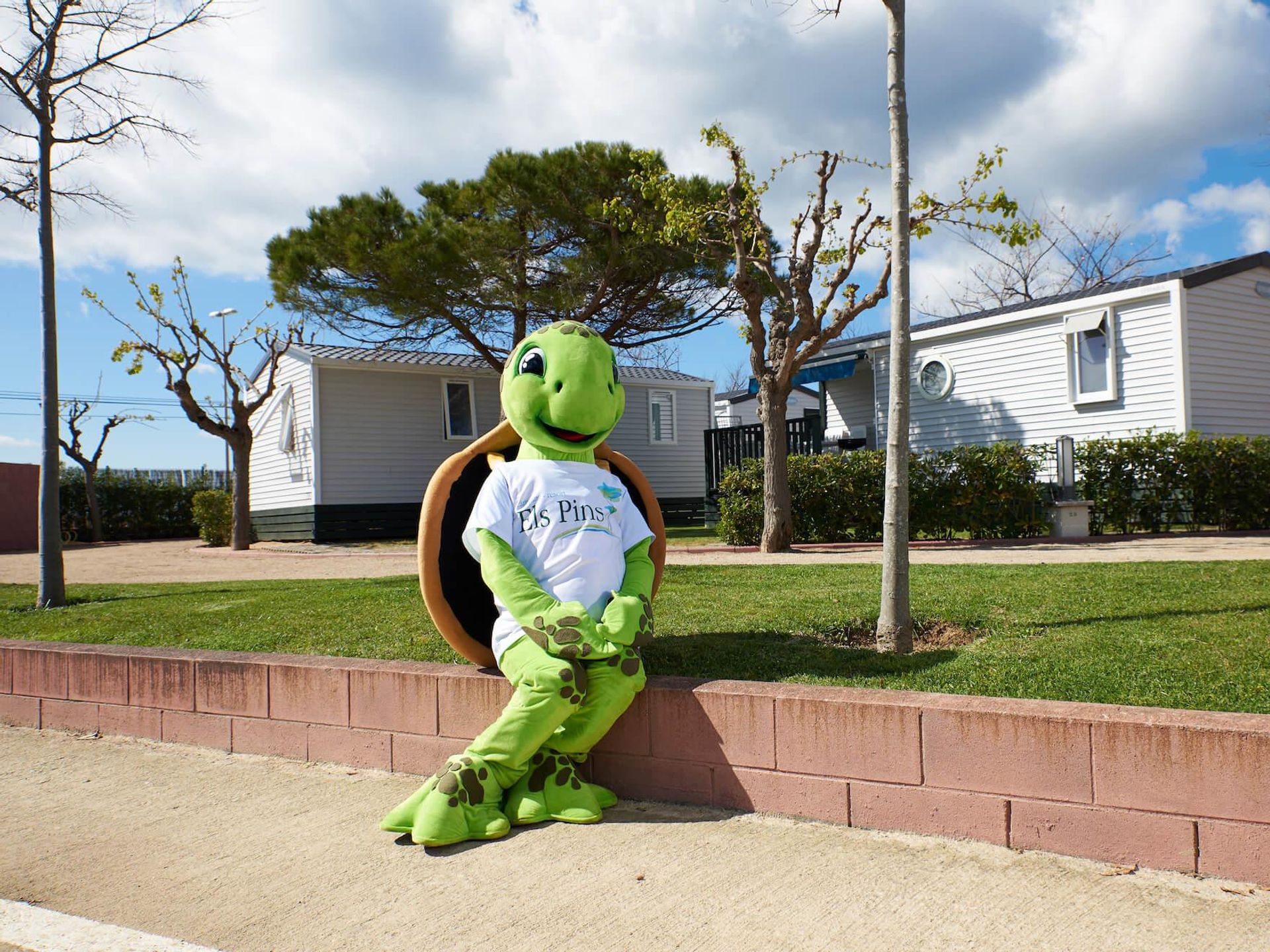 Els Pins - Mobil home - Premium 2 AC