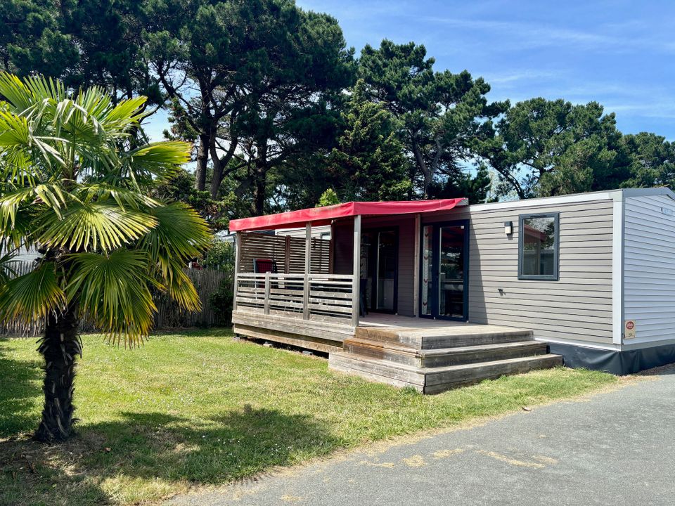 Le Chaponnet - Mobil home - Mobilhome 4 personnes - Cottage Antigua 4 p 2 Ch 2 Sdb ****