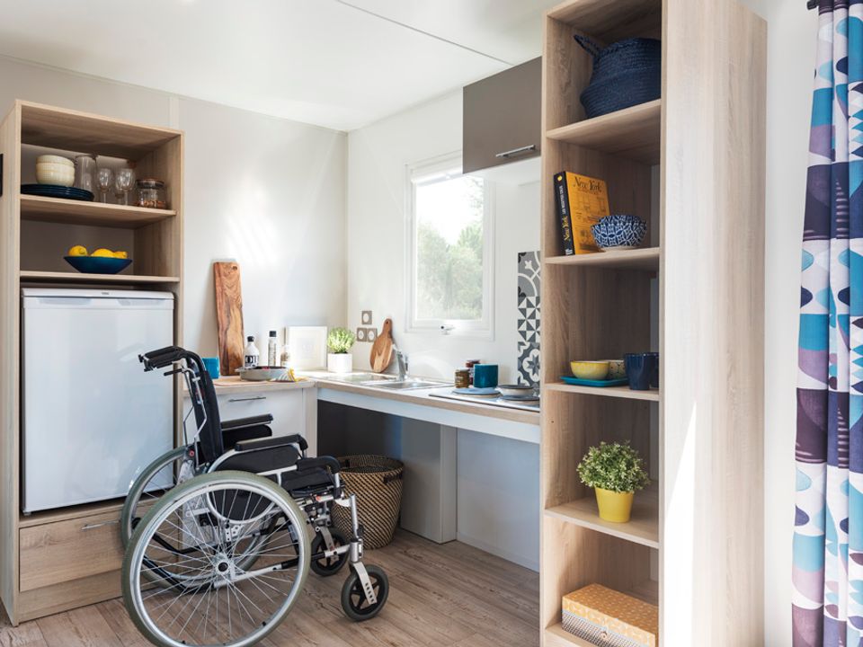 Les 4 Saisons - Mobil home - Mobilhome 6 personnes - COUSERANS PMR : avec terrasse couverte