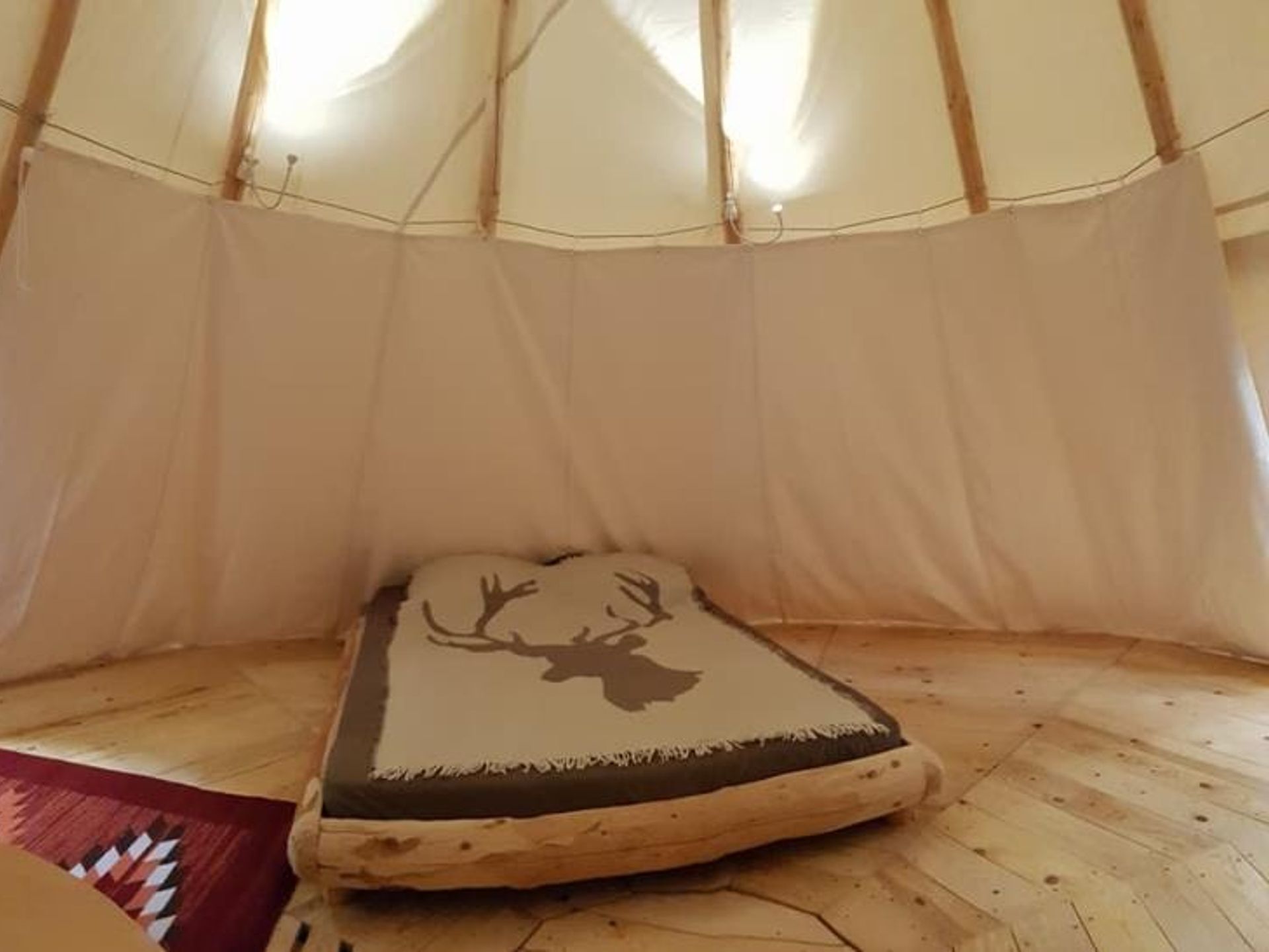 Les Cerisiers du Jaur - Mobil home - TIPI