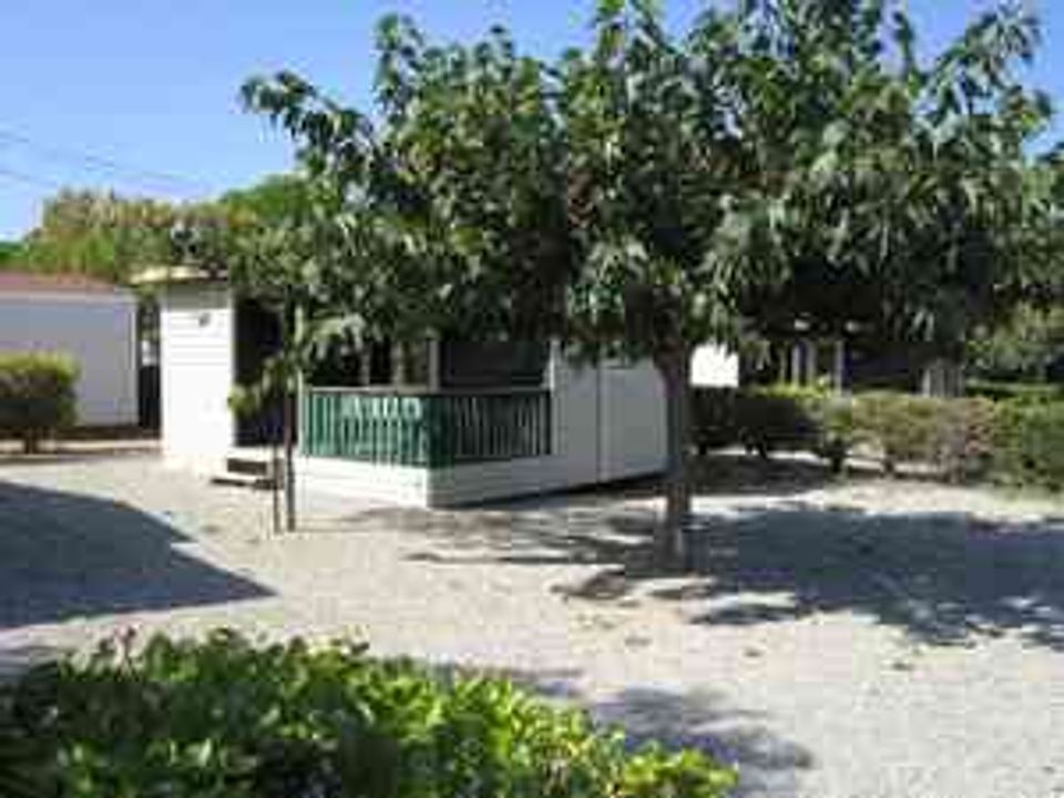 Camping de Montrose - Châlet - Chalet 5 personnes - Chalet 30 m2