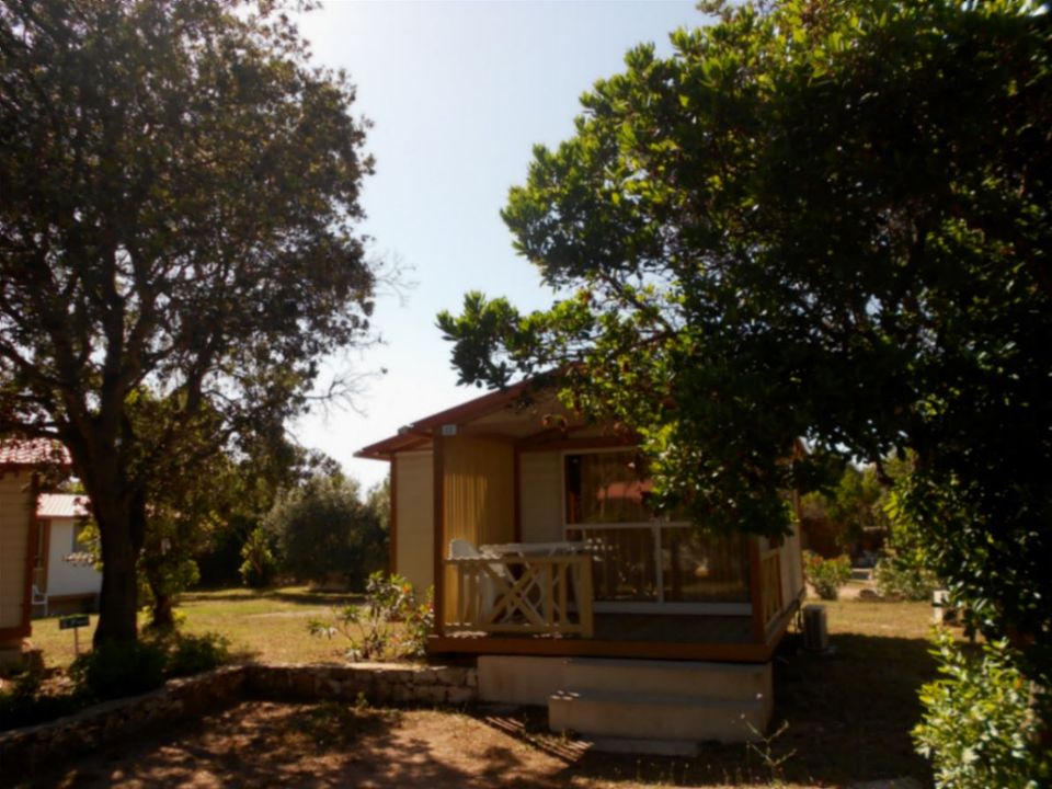 Cavallo Morto - Châlet - Chalet 6 personnes - Chalet 6 Places 3 Chambres (Clim)