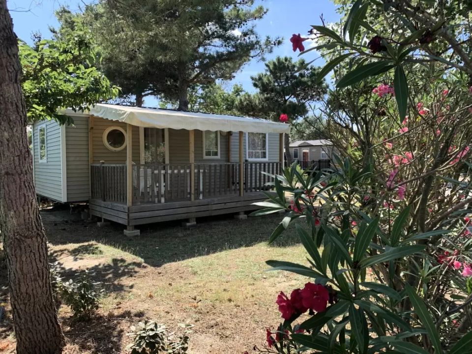 Le Trivoly - Mobil home - Mobilhome 6 personnes - Mobil-Home Baltiques 4 Pièces 6 Personnes Climatisé + TV