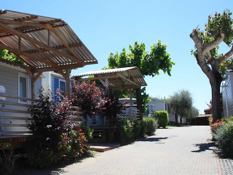 Serenella - Mobil home - Mobilhome 5 personnes - ALBATROS