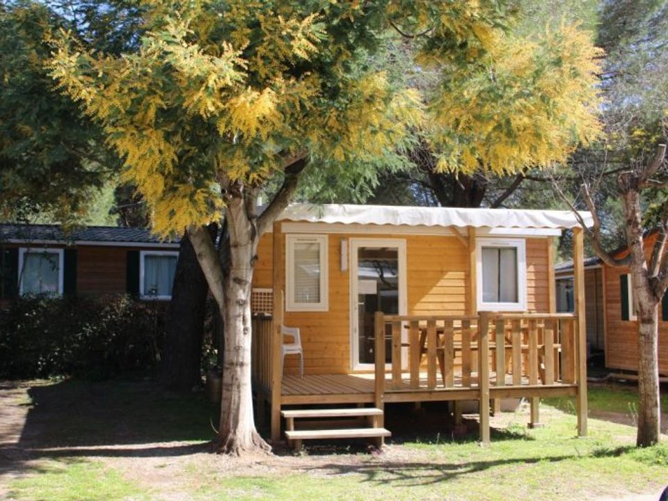 Les Casteillets - Châlet - Chalet 3 personnes - Chalet Confort 16 m² - 1 chambre - climatisation (possibilité couchage d'appoint) 2 pers