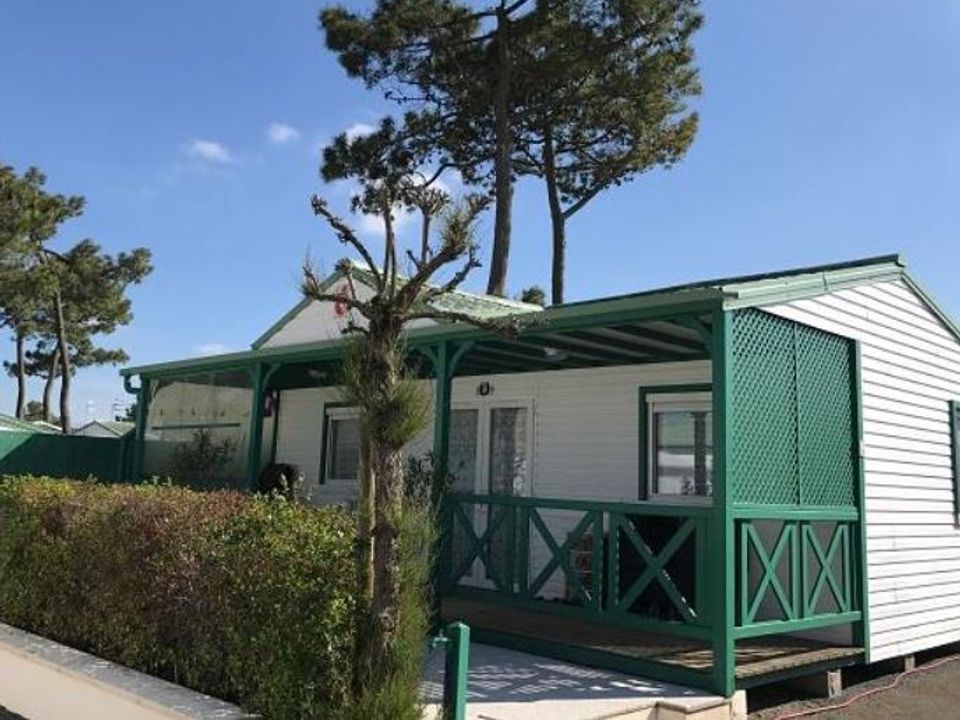 Les Tulipes - Châlet - Chalet 6 personnes - Grand Chalet