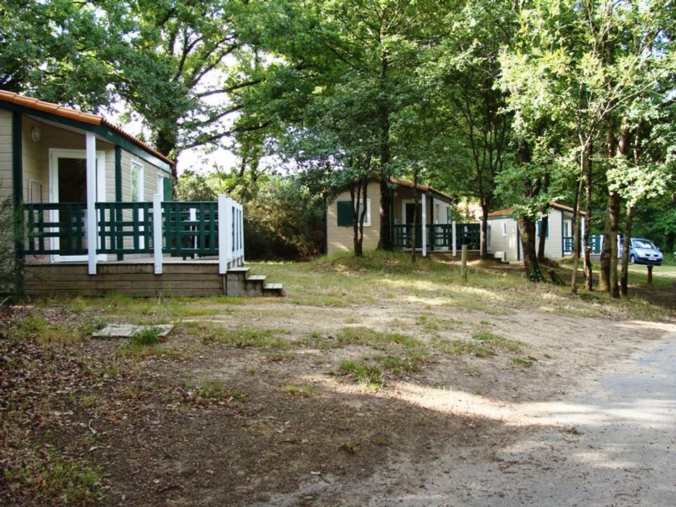 La Boulogne - Châlet - Chalet 6 personnes - 4/6 personnes
