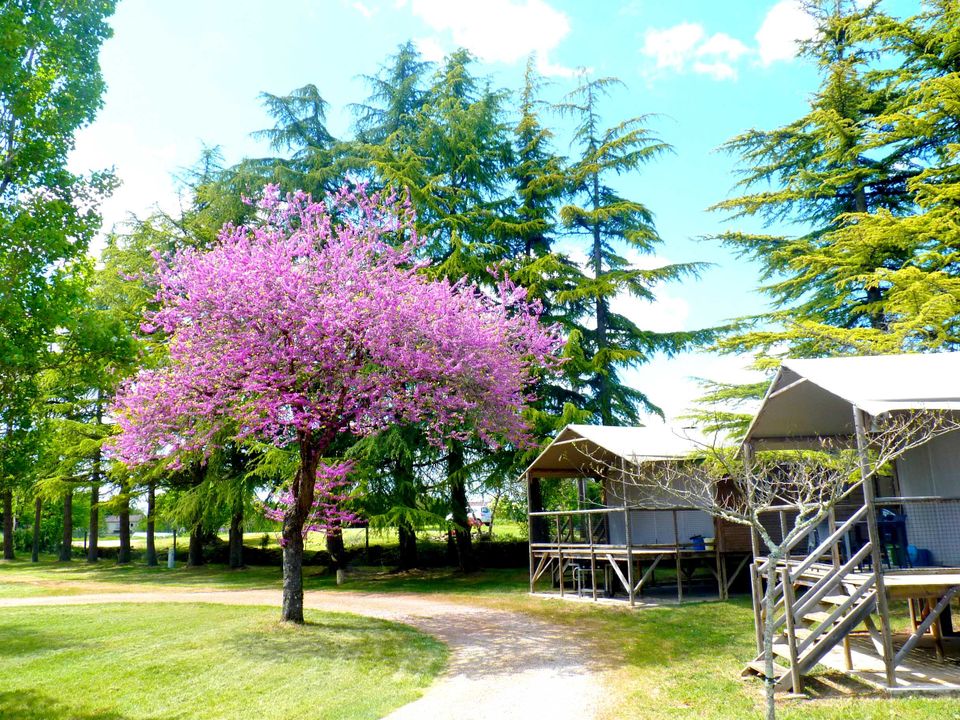 Quercy Vacances - Mobil home - Insolite 6 personnes - CABANE SUR PILOTIS