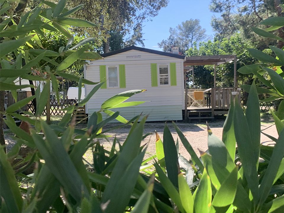 La Montagne - Mobil home - Mobilhome 2 personnes - LAVANDE - 20m² - 1 chambre