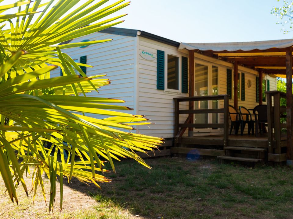 Camping de Montolieu - Mobil home - Mobilhome 6 personnes - 36 m²