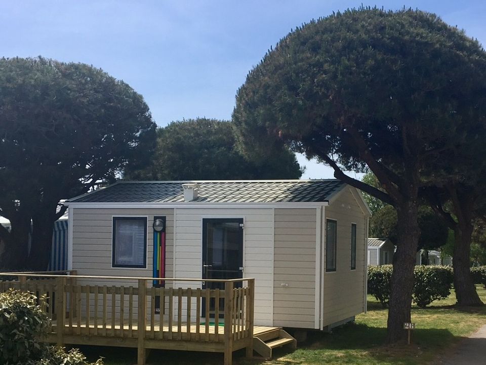 Le Kerabus - Mobil home - Mobilhome 2 personnes - Mobil-home 20m² - 1 chambre - terrasse - TV