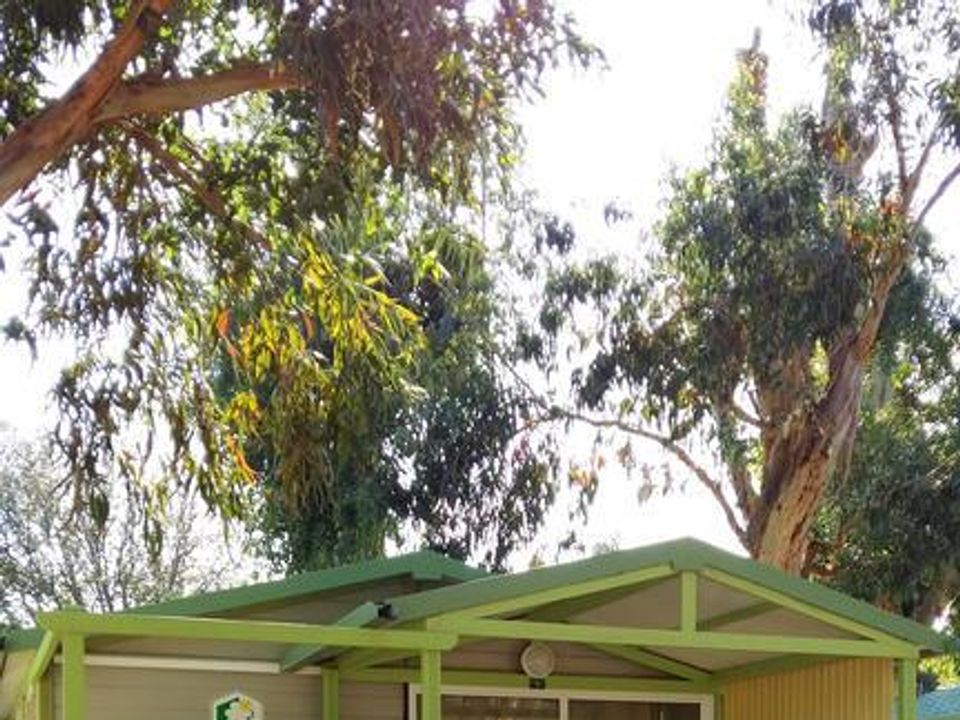 La Plage - Châlet - Chalet 5 personnes - Moréa