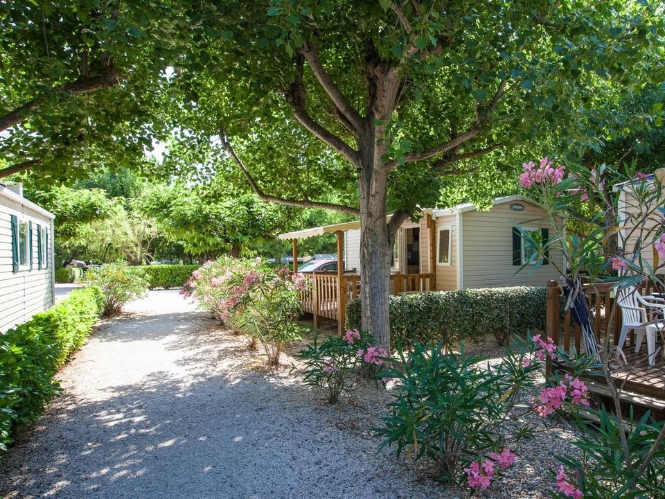 Les Amarines - Mobil home - Mobilhome 4 personnes - MH2 PARADIS 30 m², avec sanitaires