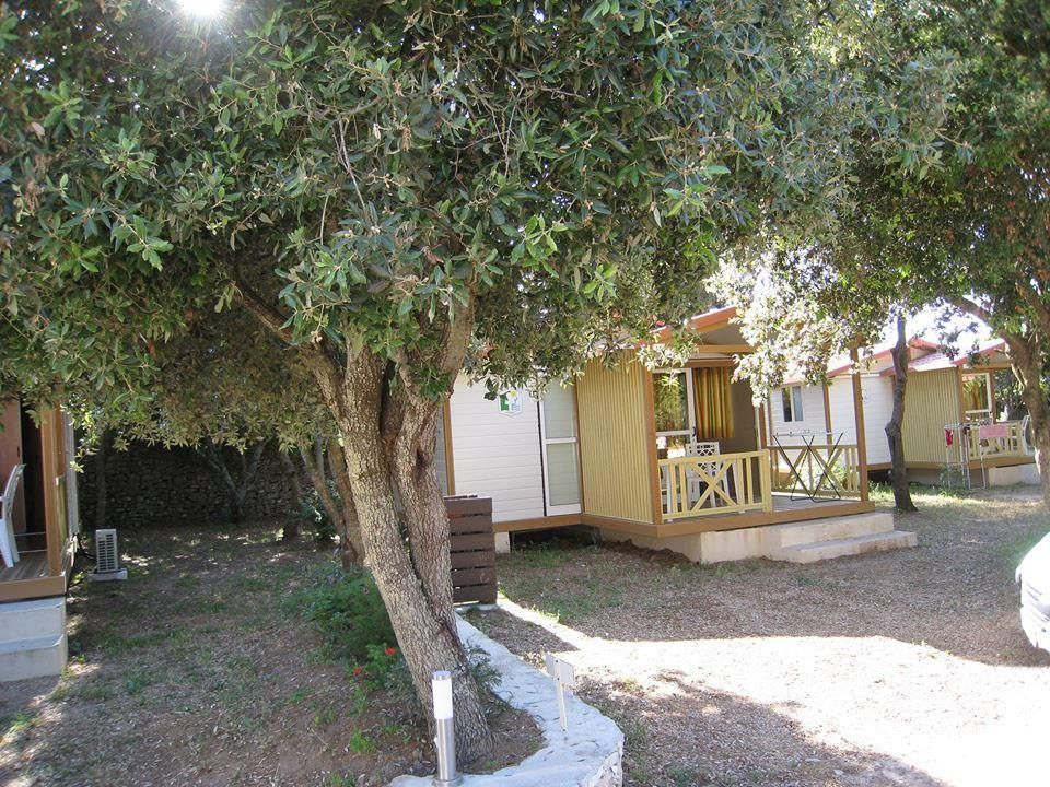 Cavallo Morto - Châlet - Chalet 6 personnes - 3 chambres climatisé