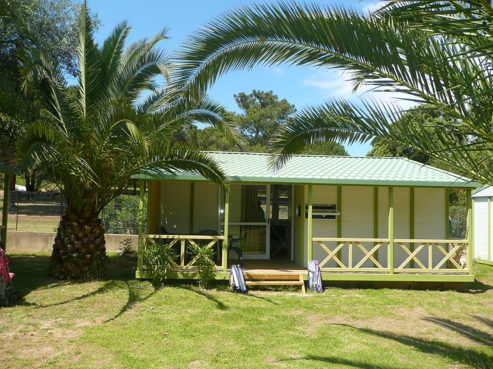 Le Libecciu - Mobil home - Mobilhome 6 personnes - 4 pièces 6 personnes