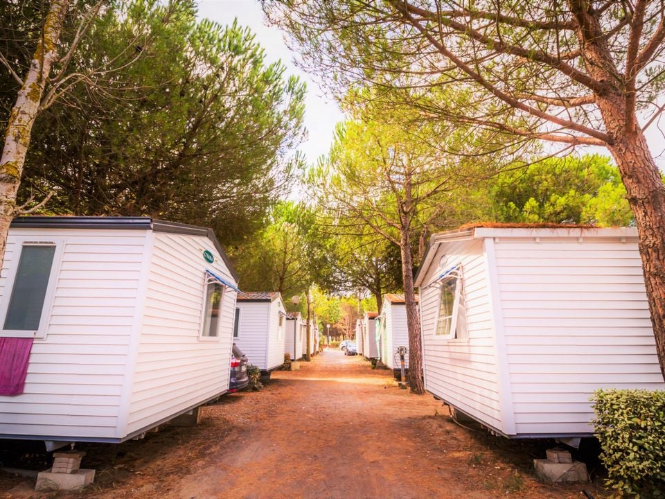 Roucan West - Mobil home - Mobilhome 6 personnes - Standard - 2 Chambres 4/6 personnes