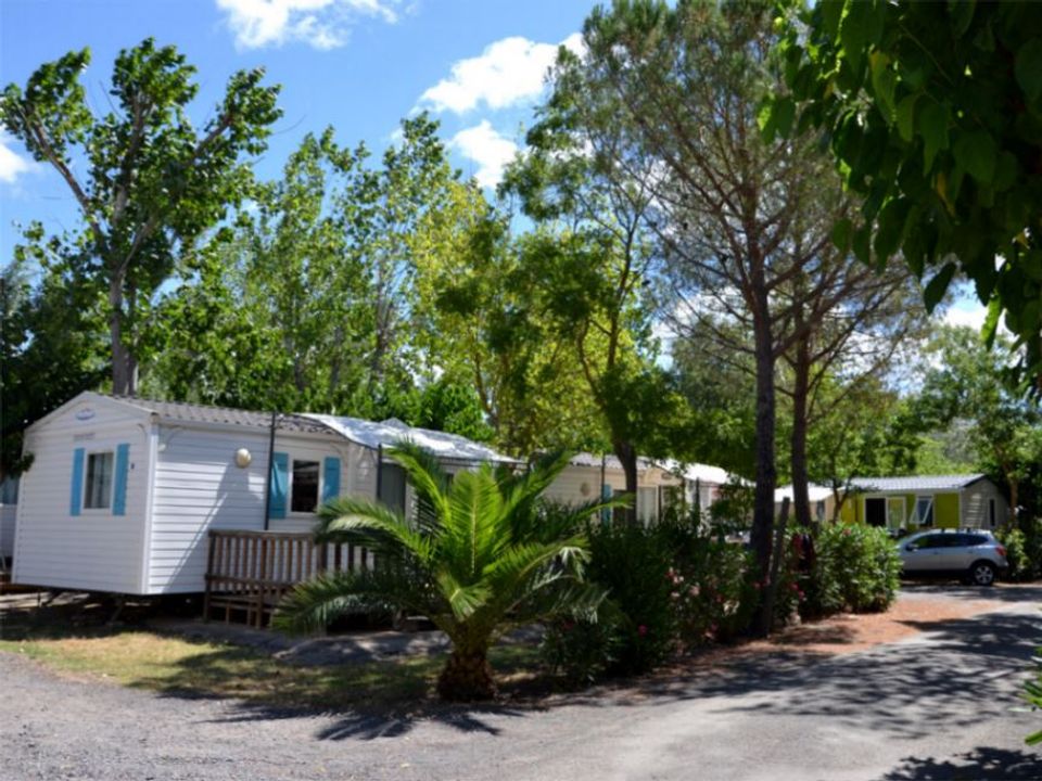 Les Salisses - Mobil home - Mobilhome 4 personnes - Confort 4 Personnes (TV-Climatisation)