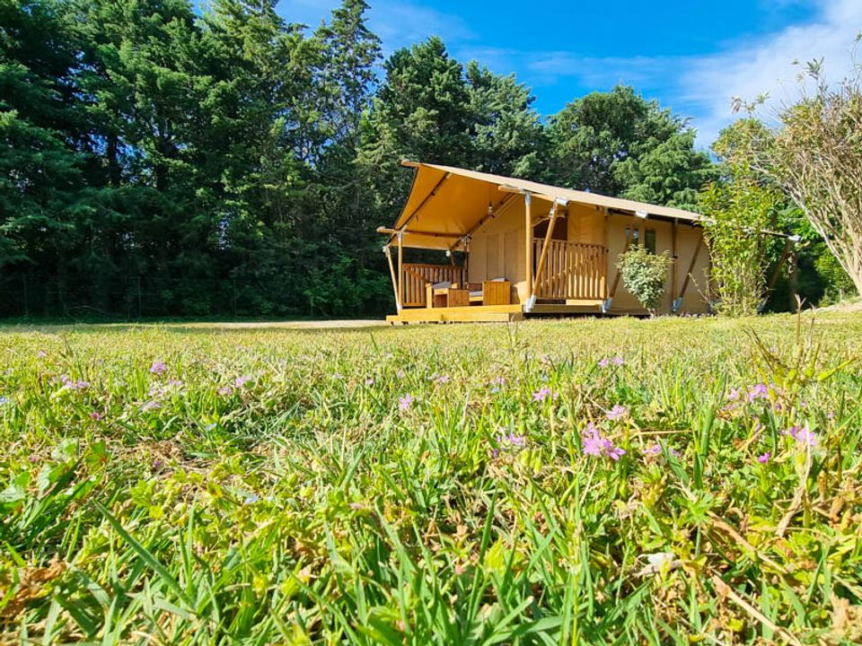 Les Micocouliers - Lodge - Lodge 5 personnes - Lodge Yala