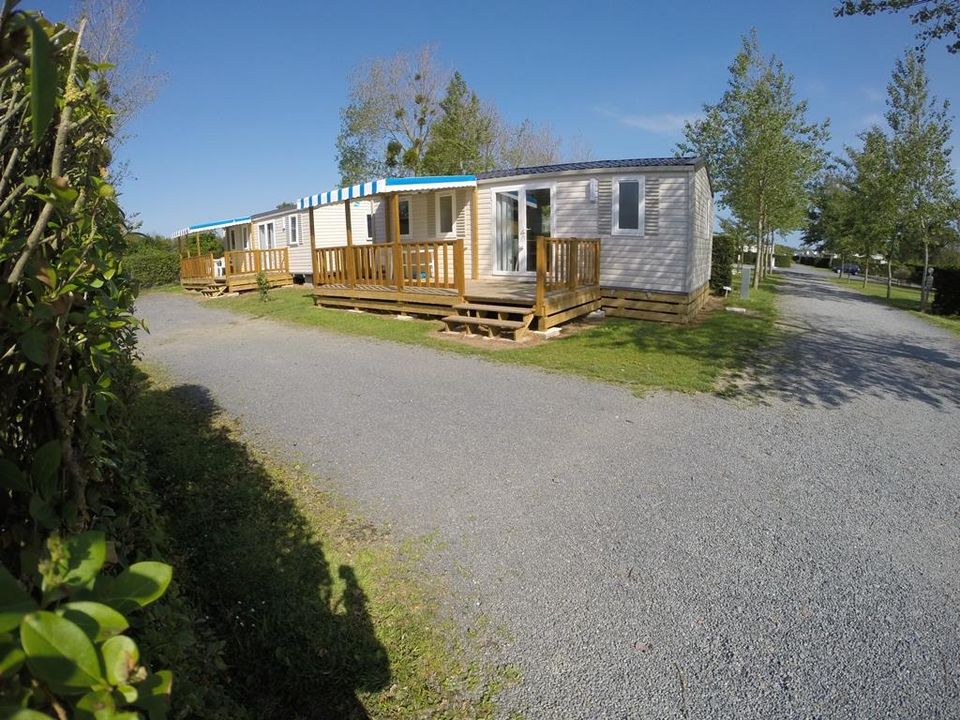 Le Robinson - Mobil home - Mobilhome 6 personnes - 6 Confort Plus - 31m² - 3 chambres + terrasse semi-couverte