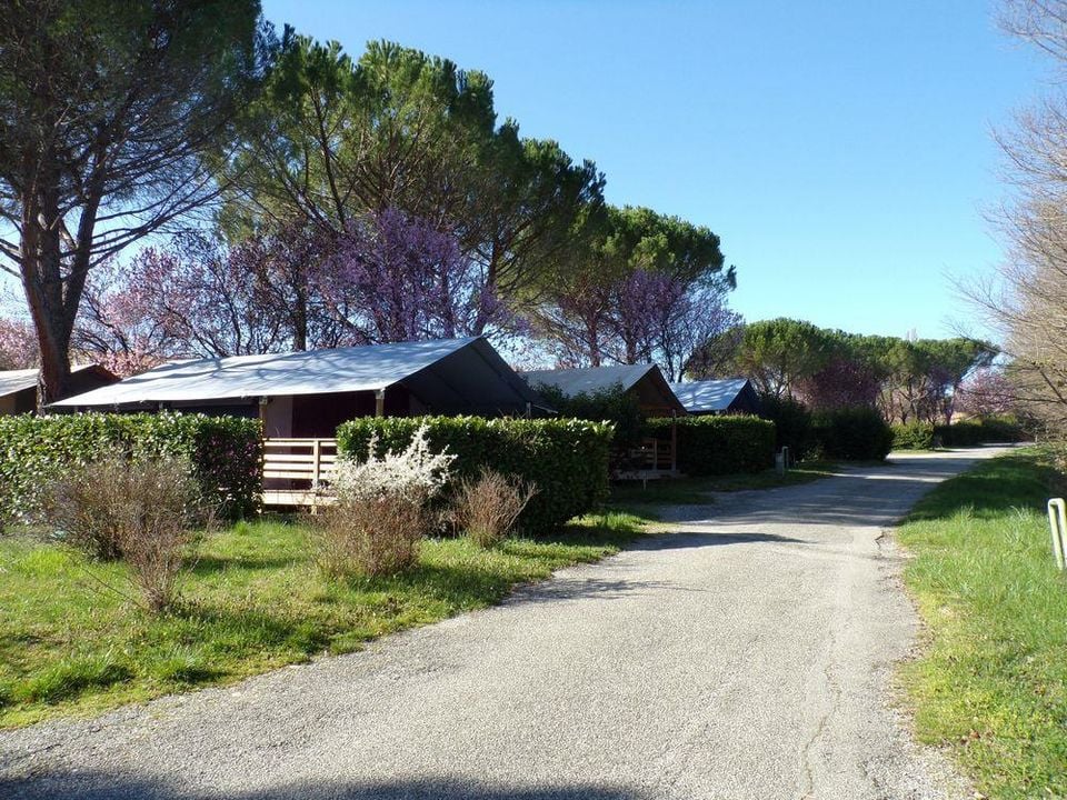 Provence Vallée - Emplacement - Tente 5 personnes - FREE FLOWER sans sanitaires ni arrivee d'eau