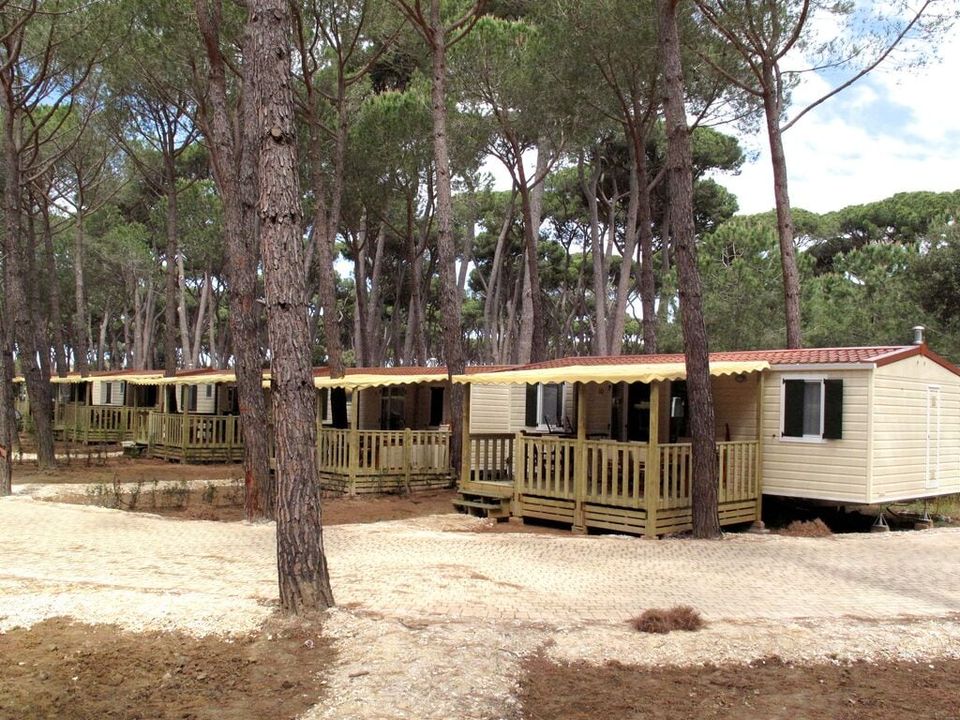 Park Albatros - Mobil home - Mobilhome 6 personnes - SunLodge Aspen