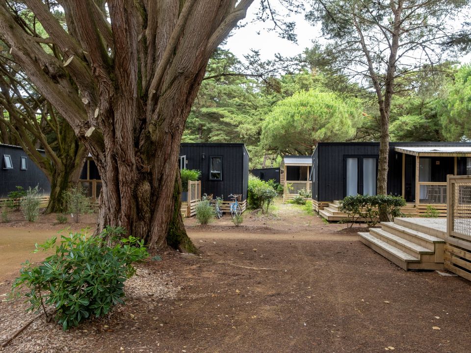 Domaine Résidentiel de plein-air Les Tamarins - Mobil home - Mobilhome 6 personnes - Mobil-Home Premium 34m² (3 chambres - 6 pers.) + terrasse couverte + TV + draps et serviettes inclus